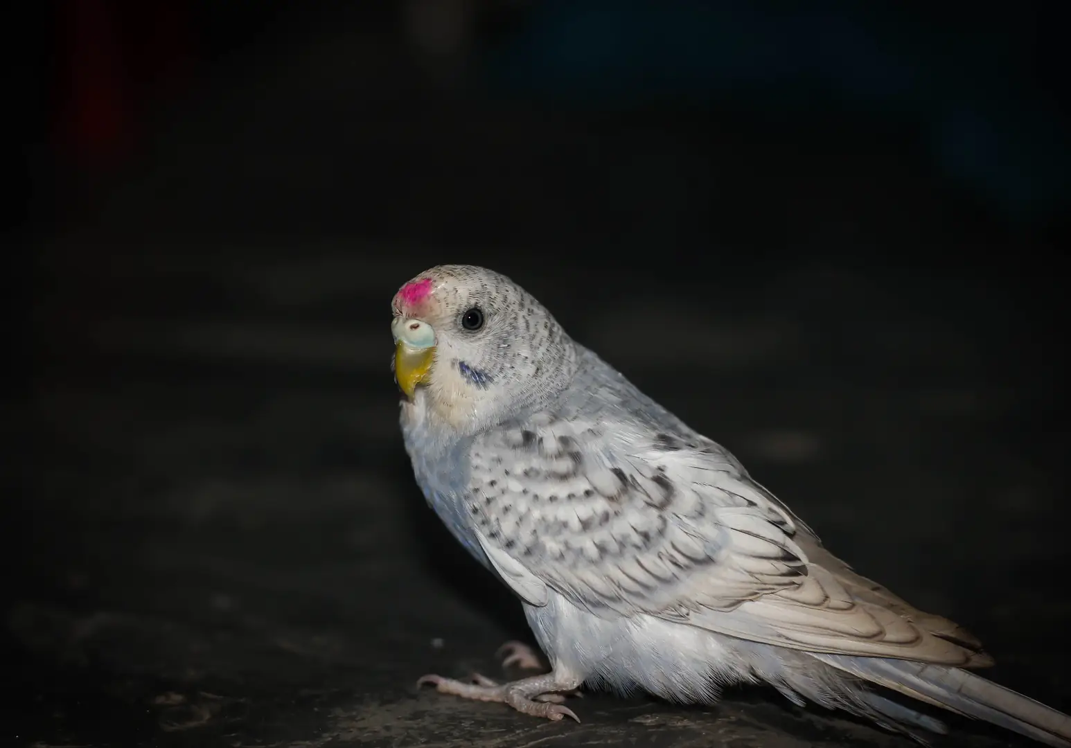 Quiet Moment