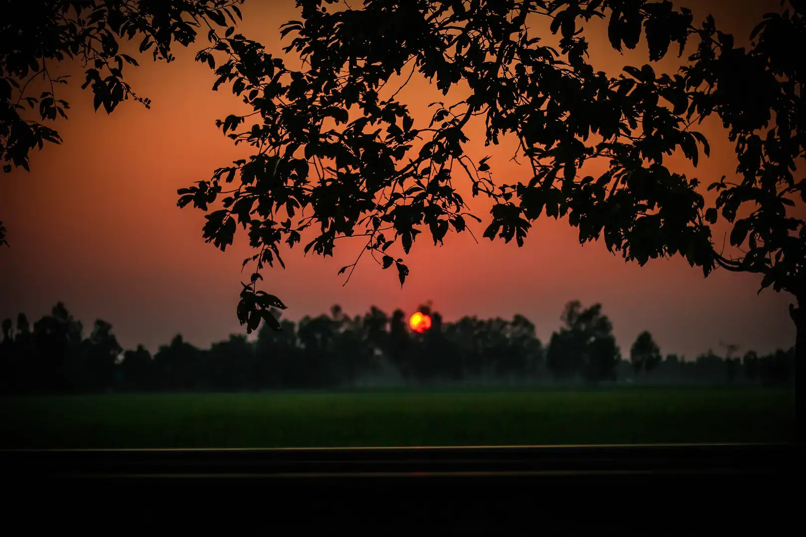 Evening Glow